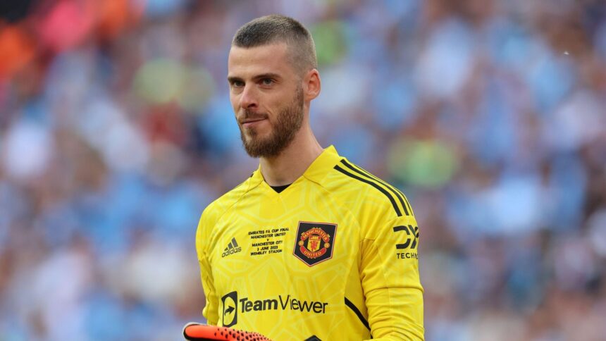 Davidas De Gea (Scanpix nuotr.)