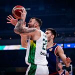 Donatas Motiejūnas (FIBA nuotr.)