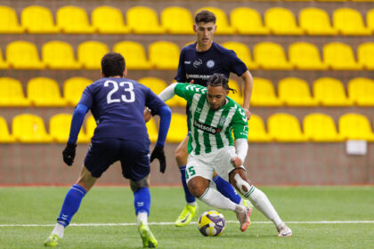 Vilniaus Žalgiris - Hegelmann (Elvio Žaldario nuotr.)