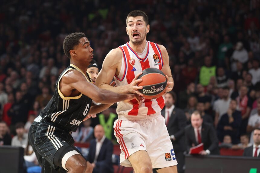 „Crvena Zvezda“ prarado dar vieną aukštaūgį