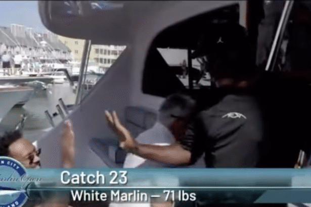 Michaelas Jordanas (Stopkadras)