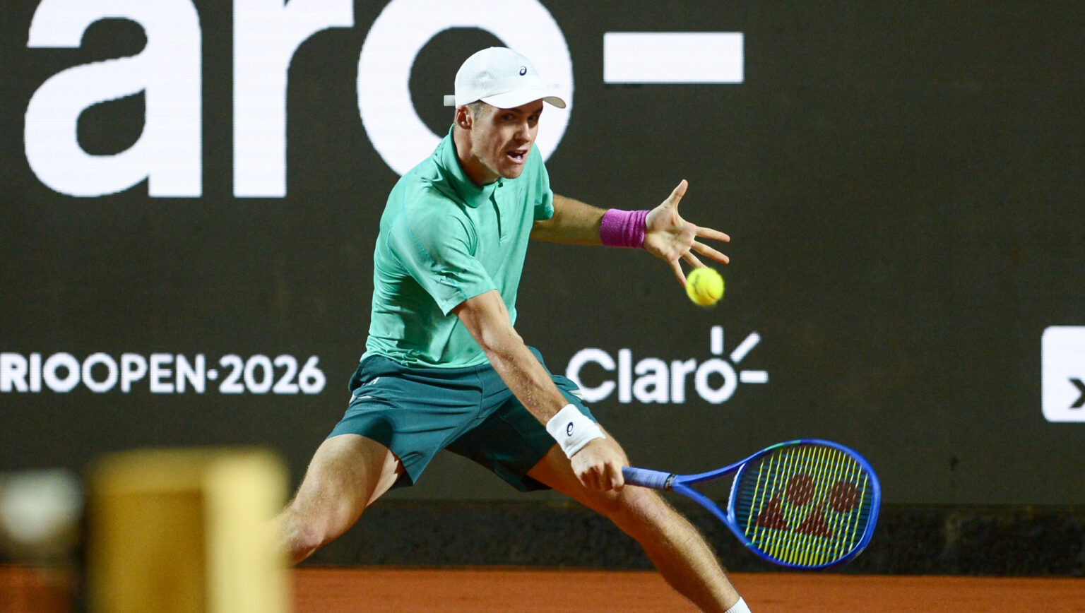 Vilius Gaubas (Scanpix nuotr.)