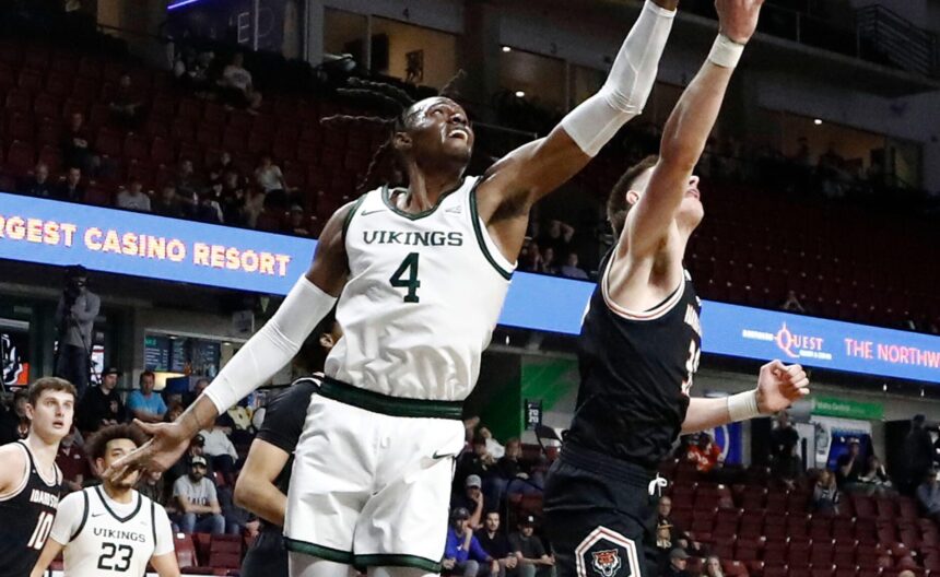 „Šiauliai“ pasipildė centru iš NCAA