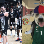 Basketball players in black-and-white striped uniforms celebrate on a court with fans in the background, clapping and smiling.