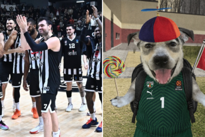 Basketball players in black-and-white striped uniforms celebrate on a court with fans in the background, clapping and smiling.