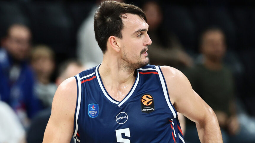 Dario Šaričius. Anadolu Efes SK X nuotr.